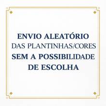 KIT 4 VASOS VASINHOS DECORATIVOS COM FLORES ARTIFICIAIS PARA CASA - Branco - Visão 4