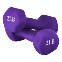 Dumbbell - Purple - View 2