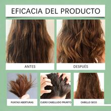 Hoegoa Shampoos & Conditioners - Champú - View 9