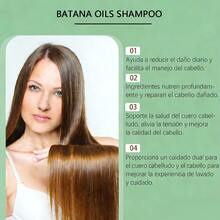 Hoegoa Shampoos & Conditioners - Champú - View 6
