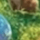 多色1