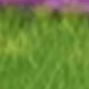 多色3