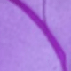 Màu Lilac Tím