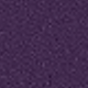 Purple/pants