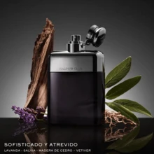 Ralph Lauren Ralph's Club EDP 100ml Men – Modern, Elegant And Sophisticated Men's Perfume That Combines Fresh Aromatic Notes With Intense Woody Chords, Creating An Enveloping And Refined Aroma; Ideal For Confident Men Looking To Stand Out At Special Events, Nights Out Or In Everyday Use, Projecting Style, Confidence And An Exclusive ✅ Masculine Presence 24/72h Delivery To Spain (Peninsula) | Beauty Explosion | Your Beauty And Makeup Store – Exploit Your Best Version - Gỗ & Đất - Xem 3