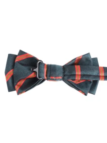 1件装 时尚绿色条纹双提花领结 - 衬衫领结 - 婚纱领结，涤纶材质 - 綠色 - 查看 9