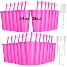 25pc Light Rose