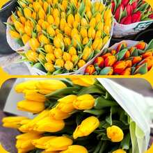 40 Stück künstlicher Tulpen Strauß, Faux Mehrfarbige PU Tulpen, realistische Faux Blumen Anordnung, Heimdekoration, Hochzeitsdekoration, verstellbare Stiele, lebendige Blütenblätter - Gelb - Übersicht 5