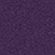 Purple/hoodie
