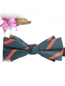 1件装 时尚绿色条纹双提花领结 - 衬衫领结 - 婚纱领结，涤纶材质 - 綠色 - 查看 7