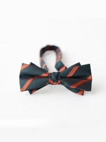 1件装 时尚绿色条纹双提花领结 - 衬衫领结 - 婚纱领结，涤纶材质 - 綠色 - 查看 3