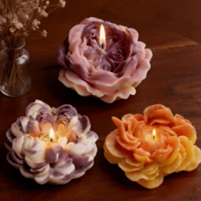 Khuôn silicon 3D tự làm nến thơm hình hoa mẫu đơn, hoa hồng và hoa mao lương, khuôn trang trí bằng thạch cao, khuôn quà tặng thủ công, khuôn trang trí nhà cửa. - trắng - Xem 1