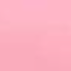 Rosa - YH609