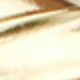 Dorado
