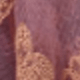 Hồng