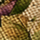 Multicolor