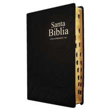 Biblia Reina Valera 1960 Grande Letra SUPER Gigante 19 PUNTOS Vinil Negro - Libro único - Ver 1