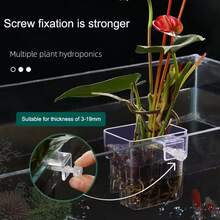 鱼缸气泡水草杯多植物水培种植篮，适用于鱼缸景观 - A - 查看 2