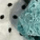 + Military Green + Aquamarine