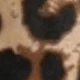 Estampado de leopardo