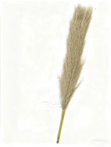 1个竖条纹树脂花瓶，黑白相间，简约现代风格，迷你装饰，适用于婚礼、派对、家居、书桌、办公室、酒店、客厅、节日装饰 - 1PC - 查看 10