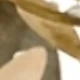 بني