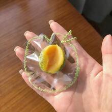 新款逼真水果捏捏乐玩具，手工质感苹果、草莓、香蕉，舒缓压力，送给朋友、生日、情人节、复活节、增进互动、亲子互动的绝佳礼物，热销产品，送给男友/女友的完美礼物 - 彩色 - 查看 20