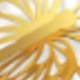 Dorado