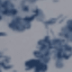 Blue and White