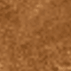Camel 2838