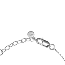 1 件 Armani 女士链式手链，纯银龙虾扣 EG3576040，适合日常佩戴、装饰、送礼、生日和节日场合 - 銀色 - 查看 5