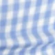 Blue Plaid