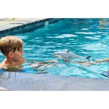 ZURU 机器人大白鲨 - Multicolor(Random Style) - 查看 7