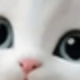 彩色