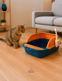 MATCHI Cat Litter Box With Raised Rim, Spill-Proof Grid And Scoop – 52*36*21.5 Cm - 橘色 - 查看 3