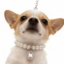 Luxury Hip-Hop Pet Necklace, Dog Faux Pearl Necklace, Pet Collar Accessories, British Style Decoration, Suitable For Daily Wear And Parties - Multicolor - View 7