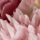 Bean Paste Color