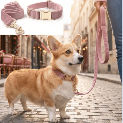 2pcs Set Lotus Pink Velvet Zinc Alloy Buckle Pet Dog Collar + Leash Set, Adjustable Velvet Dog Collar With Gold Clasp - Soft & Comfortable Pet Neck Strap, Suitable For Small/Medium/Large Dogs, Pet Collar | Velvet Pet Collar | Soft Velvet Material, Dog Valentine's Day, St. Patrick's Day, Ramadan, Easter, New Year Birthday Gift