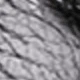 YG17 Negro