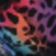 Estampado de leopardo colorido