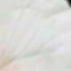 彩色