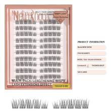 New Show Eyelash Extensions, Individual Lashes, Cluster Lashes, D Curl, Mix - TD10-0.07-d-mIX - View 1
