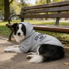 1pc Letter Print Dog Hoodie, Pocket Style Pet Warm Hooded Sweatshirt, Suitable For Small And Medium Dogs, Cat Clothing - Grey - View 5