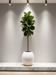 1个优雅白色球形防风雨塑料花盆 - 室内/室外均可使用，适用于人造植物、多肉植物、蕨类植物，是客厅、办公室装饰的理想之选。 - 升級款 - 查看 7