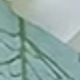 trắng
