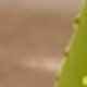 彩色