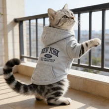 1pc Letter Print Dog Hoodie, Pocket Style Pet Warm Hooded Sweatshirt, Suitable For Small And Medium Dogs, Cat Clothing - Grey - View 13