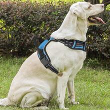 Reflective Dog Harness, No Pull Vest Harness With Handle, Adjustable Soft Padded Pet Harness For Large Dogs - 天藍色 - 查看 4