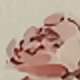彩色