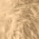 Màu Khaki